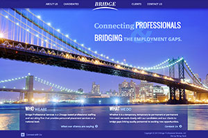 Bridge Professional Services website Example