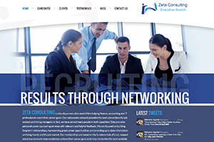 Zeta Consulting website Example