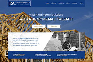 Precision Search Consulting