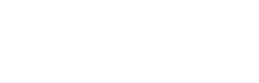 Top Echelon Logo